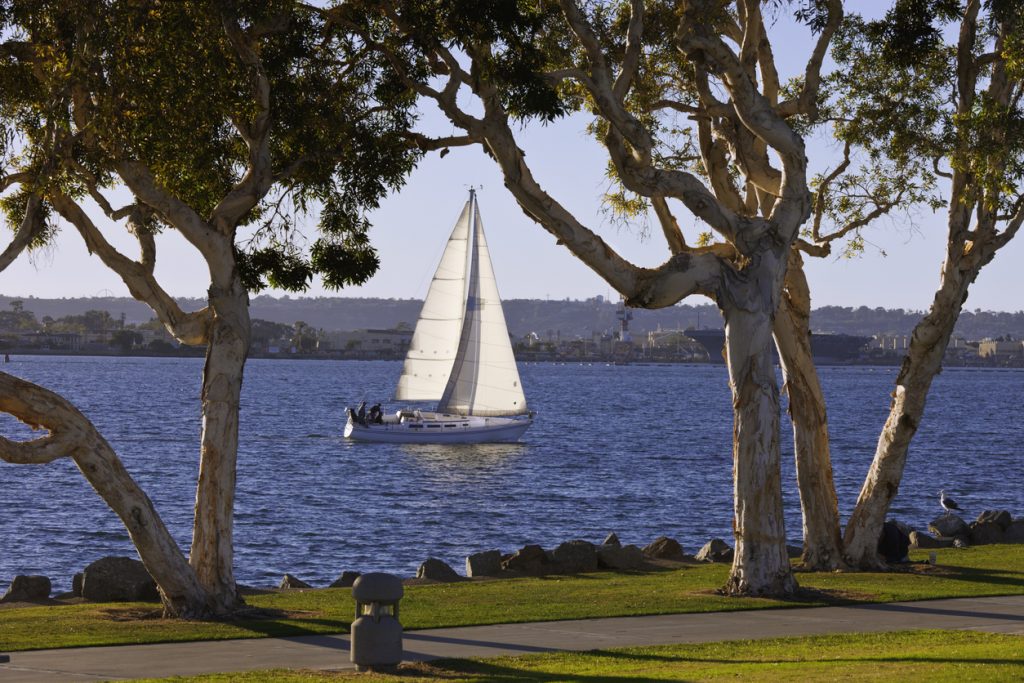 MarinersInsurance_SailinginSanDiego